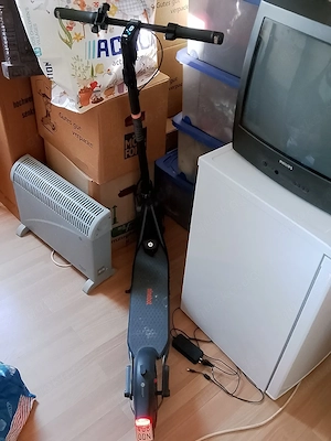 escooter ninebot mit blinkern