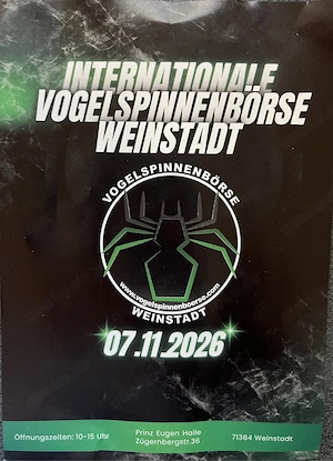 Vogelspinnenbörse Weinstadt