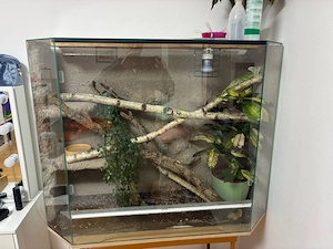 Terrarium 110x88x40