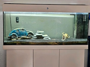 Juwel Rio 180 LED Aquarium mit Unterschrank und viel Zubehör