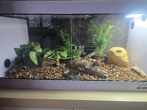 Kunststoff Terrarium 