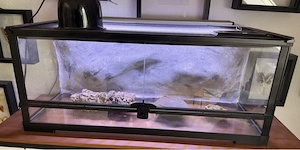 Terrarium 76x32x32cm