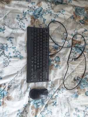  SteelSeries Tastatur 
