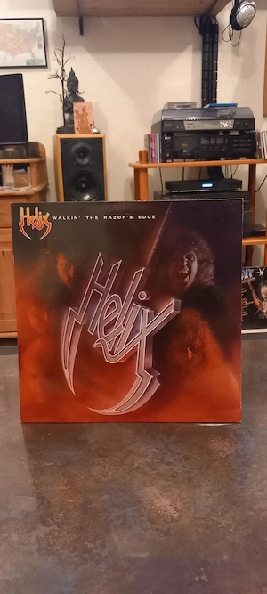 80er kult Scheiben Rock VINYL