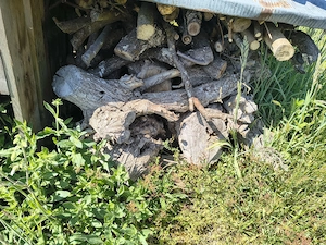 Brennholz Tannen- Pflaumen- und Paletten Bild 4