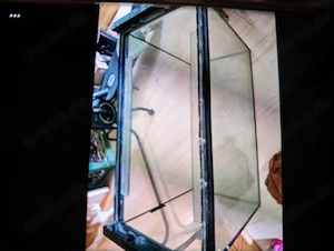 Aquarium zu verschenken 