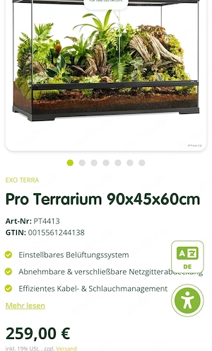 2 Kornnattern aus 25 + neuwertiges Exo Terraium 90x45x60 Bild 3