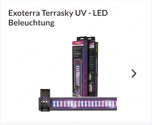 2 Kornnattern aus 25 + neuwertiges Exo Terraium 90x45x60 Bild 2