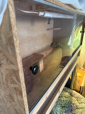 Terrarium  Bild 4