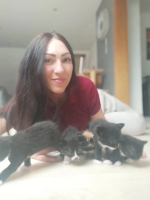 EKH katzenBabys 