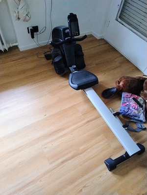 Aldi Active Touch Rudergerät   Magnet-Bremssystem & Trainingscomputer
