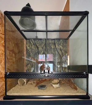 Exo Terra Terrarium (60x45x60) inkl. kompletter Einrichtung abzugeben 
