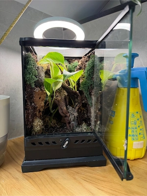 Exo Terra Terrarium 20x20x30