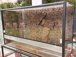 Terrarium (80 x 25 x 45) abzugeben in Alt-Laatzen
