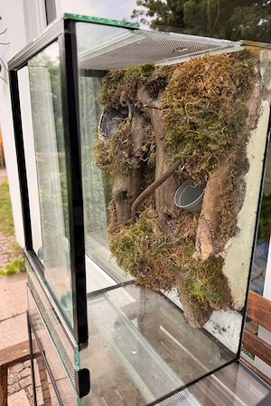 Terrarium (30 x 30 x 50) mit gestalteter Rückwand abzugeben in Alt-Laatzen