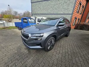 Skoda Karoq 2.0 TDI DSG TOUR+AHK+BEH. LENKRAD+SCHEIBE+