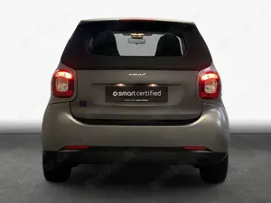 smart forTwo fortwo cabrio EQ|MattLack|22kW|AdvancedPLUS Bild 5