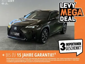 Lexus UX 300h F-Sport Design SHZ/NAVI/PDC