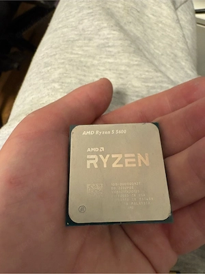 Amd ryzen 5 5600