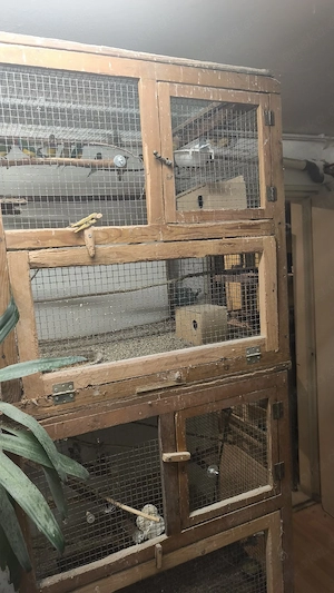 Vögel mit Käfig und Zubehör  Bild 3