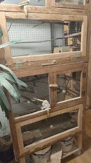 Vögel mit Käfig und Zubehör  Bild 4