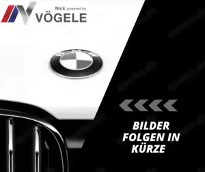 Ligier JS 50 Elite Multimedia Carplay Rückfahrkamera
