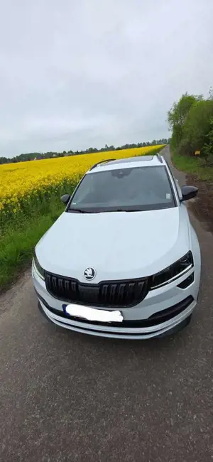 Skoda Karoq Bild 4