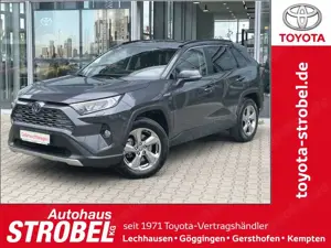 Toyota RAV 4 2.5 4x2 Hybrid Team Deutschland*Technik-Paket*