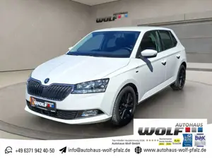 Skoda Fabia 1.0 TSI Clever Best of ACC~SmartLink~SHZ~Soundsyst