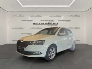 Skoda Fabia 1,0 MPI Cool Plus Green Tec Enjoy PDC/ALU