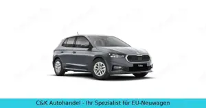 Skoda Fabia 130 Jahre 1.0 TSI 85 kW / 116 PS 7-DSG