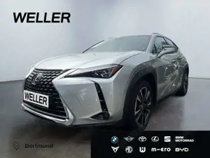 Lexus UX 250h E-FOUR Luxury Line *Matrix*HUD*Leder*CAM*