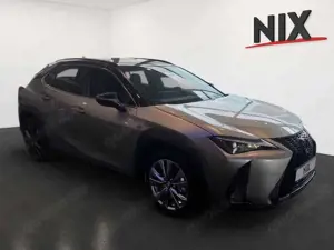 Lexus UX 300h 2.0 Hybrid F-Sport Design LED SHZ Bild 2
