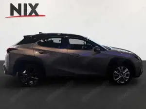 Lexus UX 300h 2.0 Hybrid F-Sport Design LED SHZ Bild 3