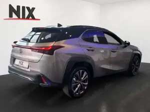 Lexus UX 300h 2.0 Hybrid F-Sport Design LED SHZ Bild 4