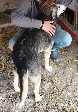 Nelson wartet auf dich Bild 8