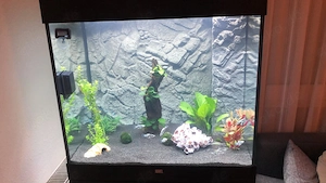 Juwel Lido 200 LED Aquarium inkl. Unterschrank   ca. 200 Liter