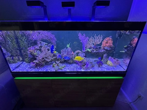Aquarium Ehem Inspiria 530Liter