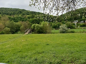 Freizeitgrundstück Wiese mit Obstkultur Bild 8