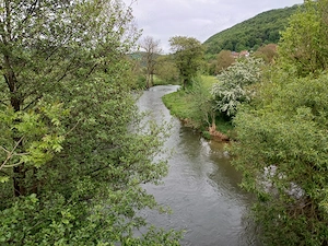 Freizeitgrundstück Wiese mit Obstkultur Bild 2