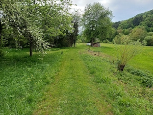 Freizeitgrundstück Wiese mit Obstkultur Bild 3