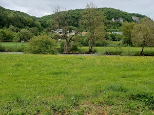 Freizeitgrundstück Wiese mit Obstkultur Bild 5