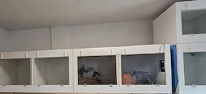 Forex Terrarium 3 stück noch teilbar