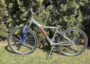 Jugend-Mountain-Bike gegen Abholung zu verschenken