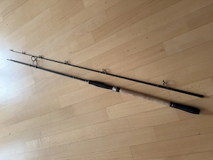 Fox Rage Terminator Big Bait Spin 240 Elite Series, 42-168g Wurfgewicht. Spinnrute für u.a. Hecht