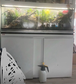 Terrarium Kombi 