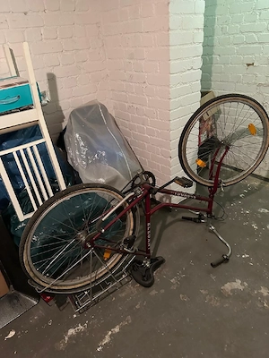 Damen Fahrrad gebraucht 