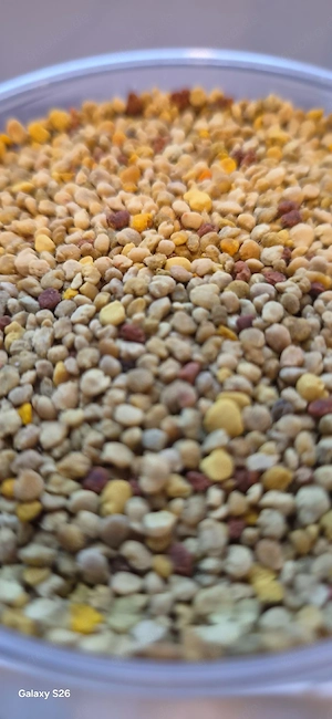 Frischer Blütenpollen 2026 aus regionaler Hobby-Imkerei