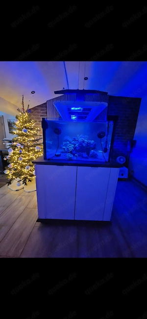 Meerwasseraquarium   komplett mit Technick und Besatz