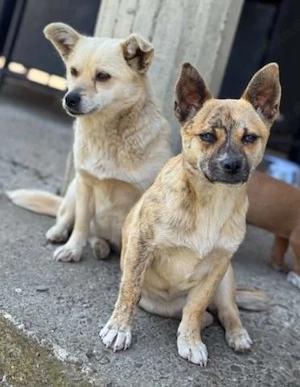 Lou & Leni   ein unzertrennliches Paar